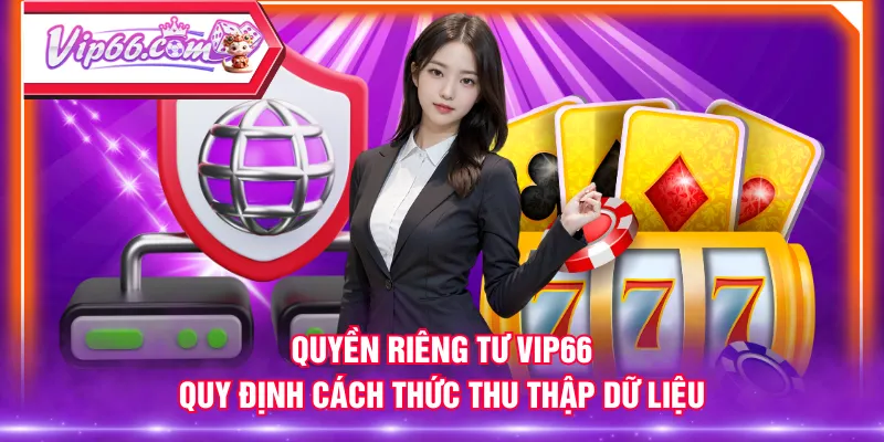 Quyền riêng tư VIP66 quy định cách thức thu thập dữ liệu